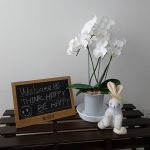 Welcome to THINK HAPPY BE HAPPY